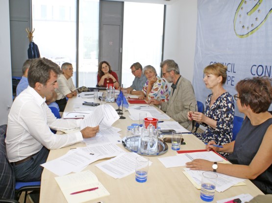 Članica Stalne delegacije PSBiH u PS Vijeća Evrope Ismeta Dervoz u Sarajevu predsjedava sastankom eksperata Vijeća Evrope